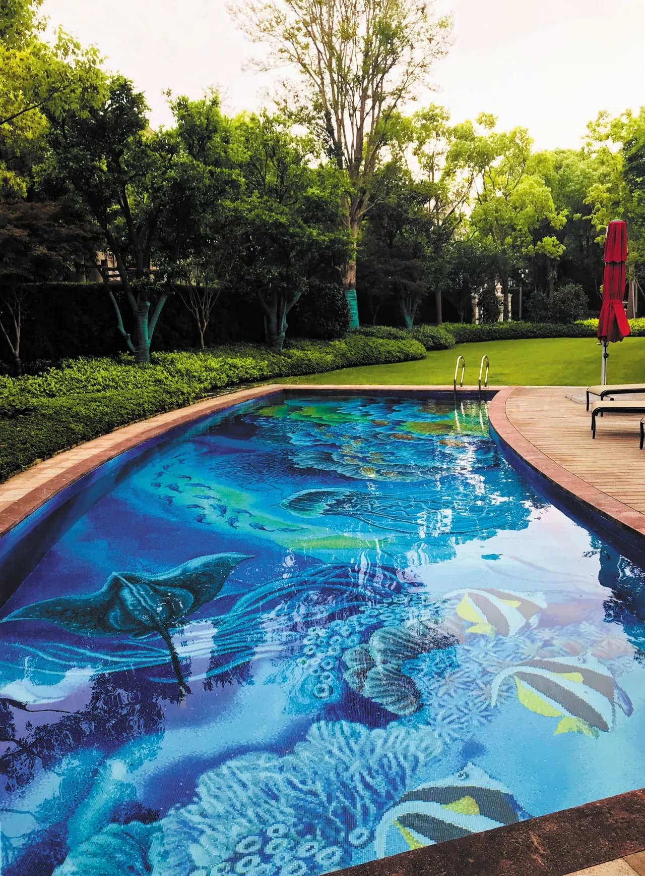 Contemporary lap pool with minimalist design